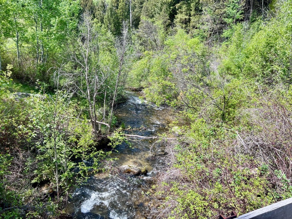 NHN Lost Creek Rd, Anaconda MT 59711