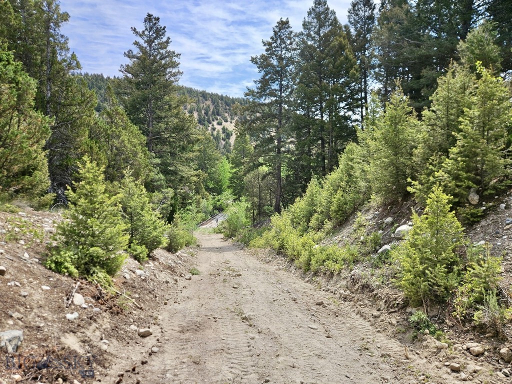 NHN Lost Creek Rd, Anaconda MT 59711