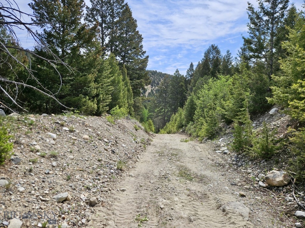 NHN Lost Creek Rd, Anaconda MT 59711