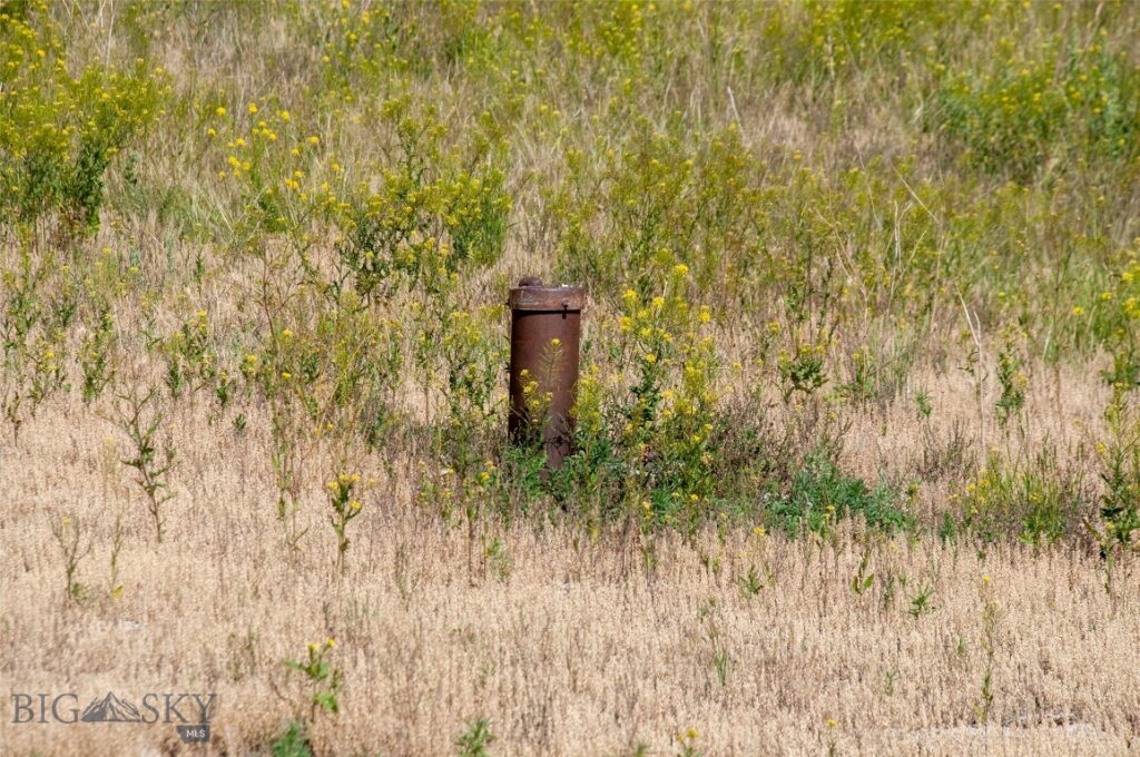 3021 Big Horn Road, Divide MT 59727