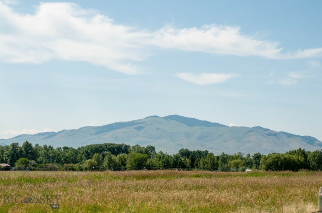 3021 Big Horn Road, Divide MT 59727