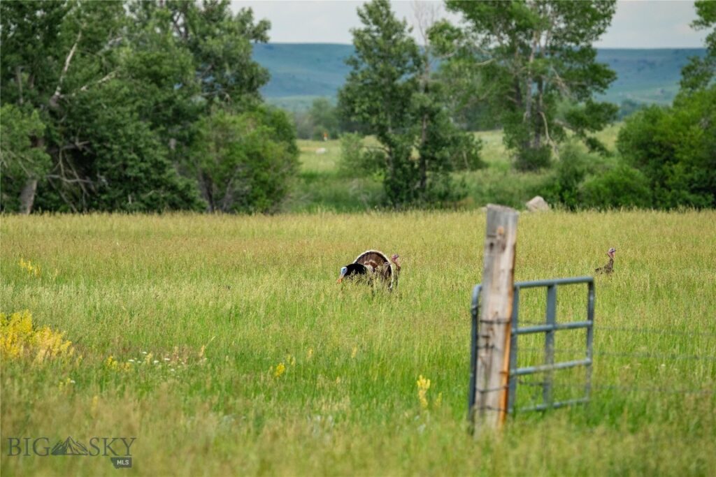 287 Spring Creek Road, Absarokee MT 59001