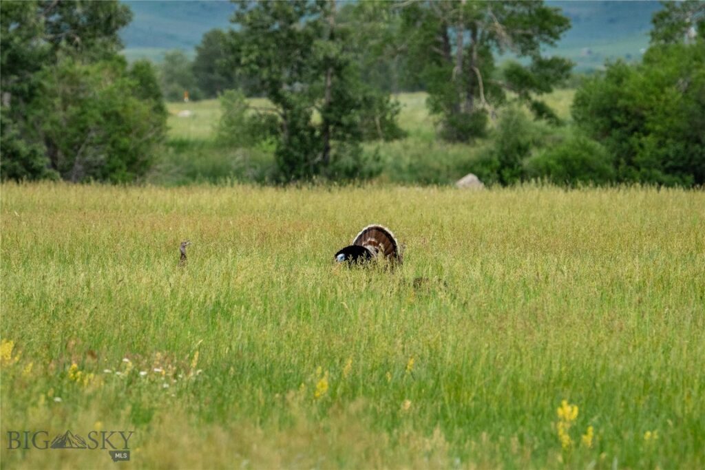 287 Spring Creek Road, Absarokee MT 59001