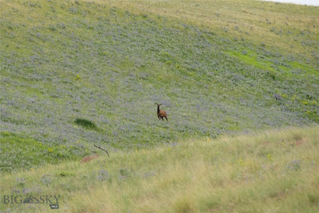 287 Spring Creek Road, Absarokee MT 59001