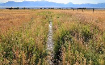 Lot 10 Shining Mountains 2, Ennis MT 59729