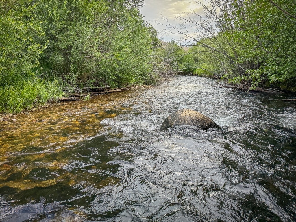 NHN Lot 44 Mill Creek Highway, Anaconda MT 59711