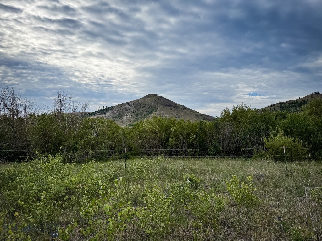 NHN Lot 44 Mill Creek Highway, Anaconda MT 59711