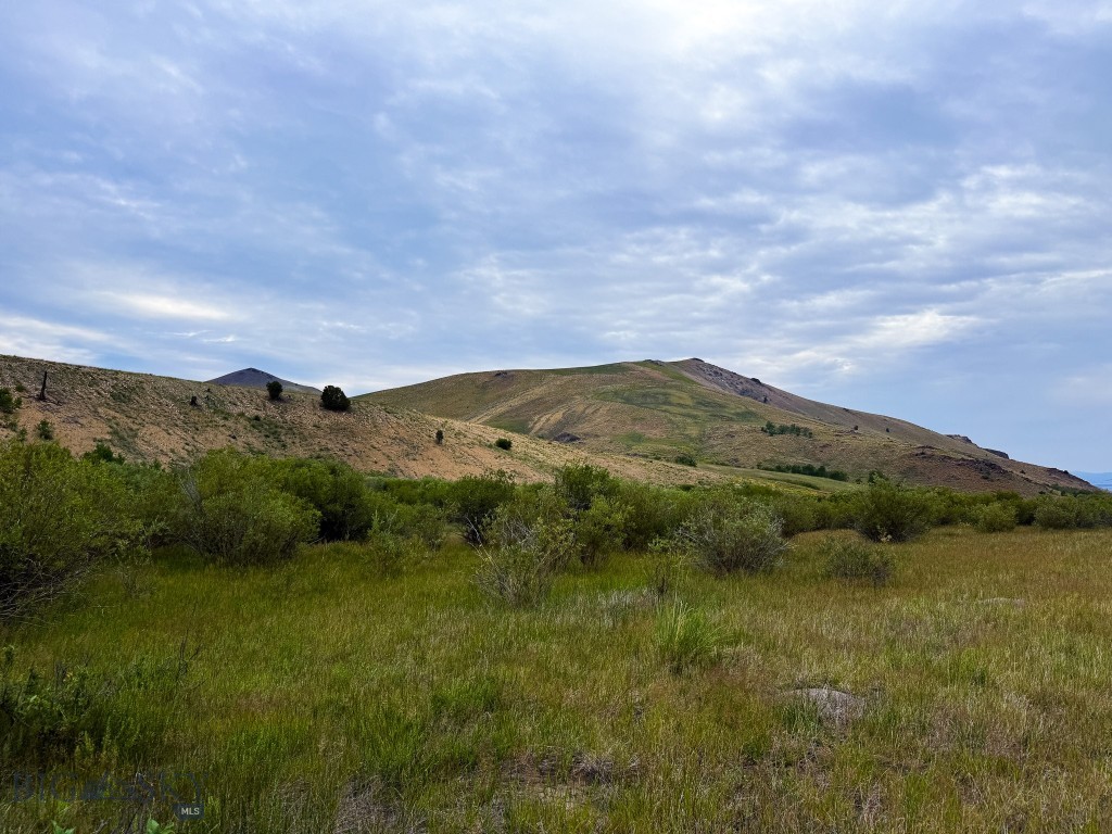 NHN Lot 44 Mill Creek Highway, Anaconda MT 59711