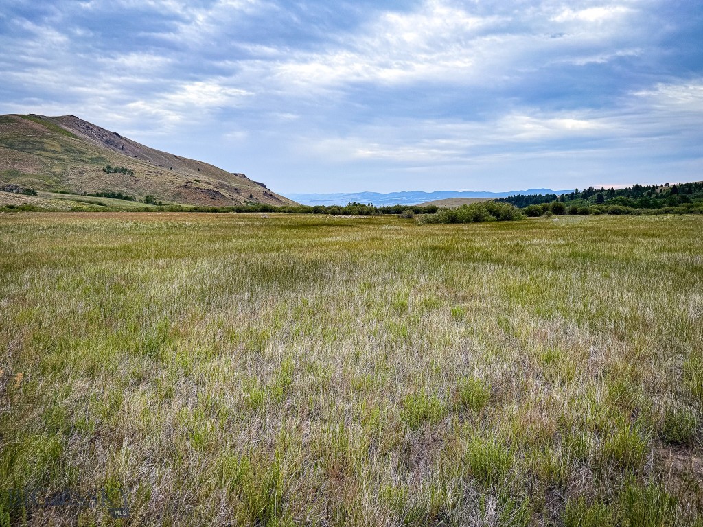 NHN Lot 44 Mill Creek Highway, Anaconda MT 59711