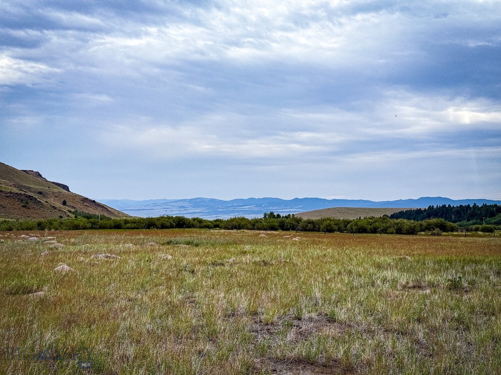 NHN Lot 44 Mill Creek Highway, Anaconda MT 59711