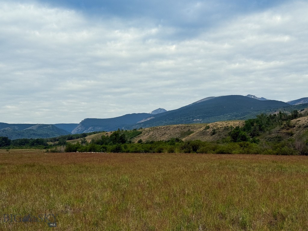 NHN Lot 44 Mill Creek Highway, Anaconda MT 59711