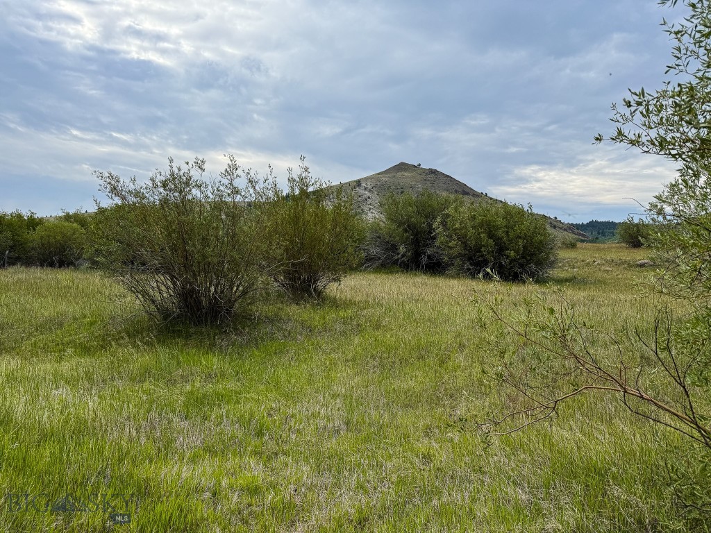 NHN Lot 44 Mill Creek Highway, Anaconda MT 59711