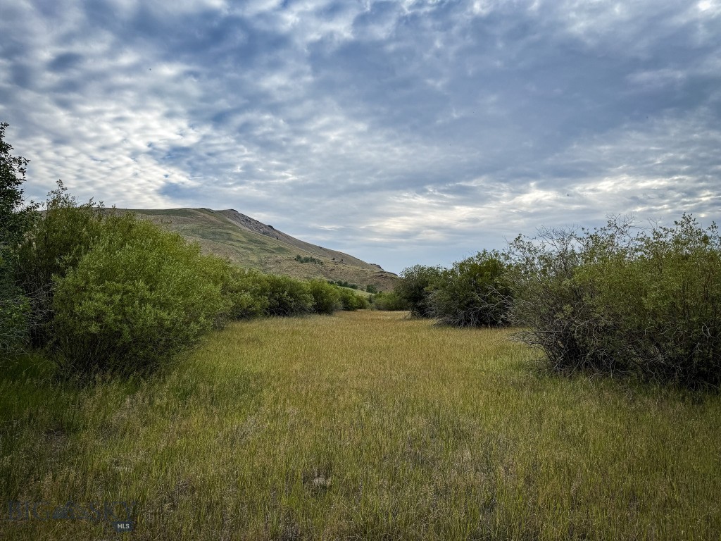 NHN Lot 44 Mill Creek Highway, Anaconda MT 59711