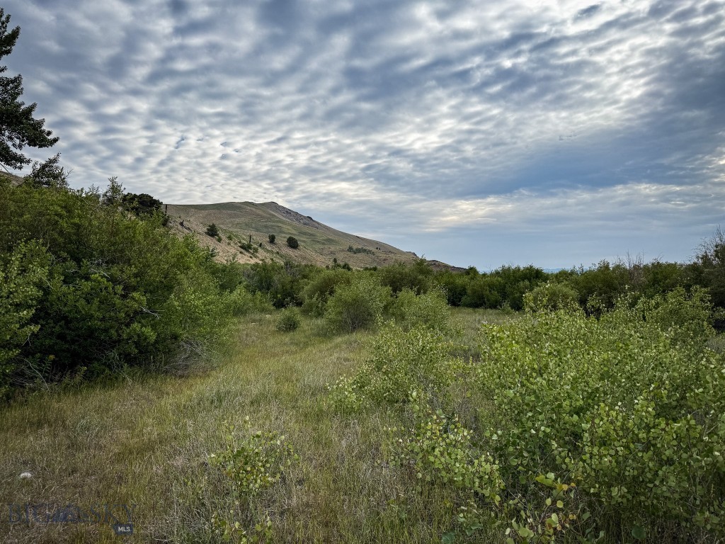NHN Lot 44 Mill Creek Highway, Anaconda MT 59711