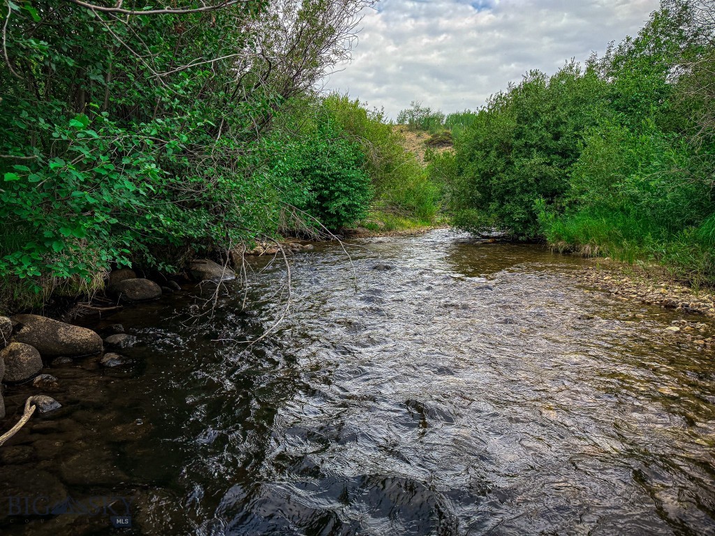 NHN Lot 44 Mill Creek Highway, Anaconda MT 59711