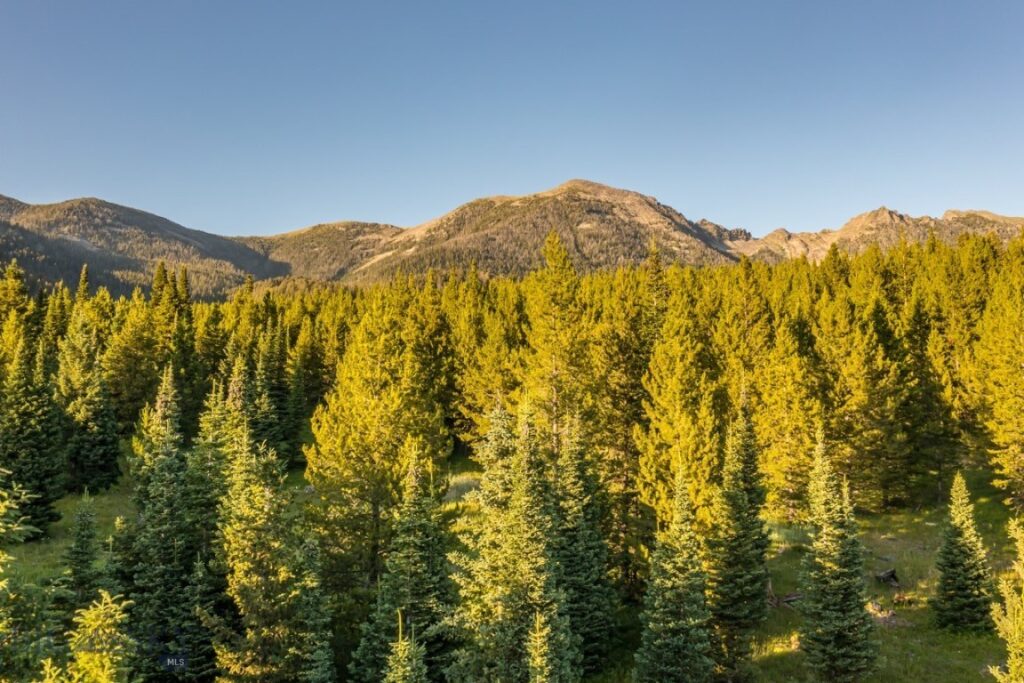 TBD Jack Creek Road, Moonlight Territory Parcel 2, Big Sky MT 59729
