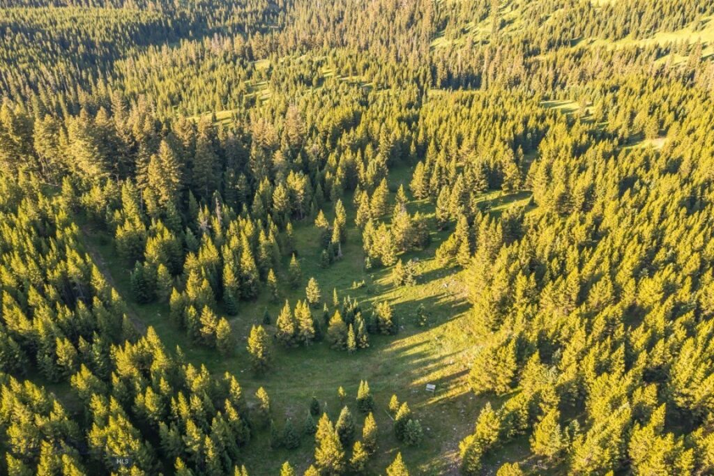 TBD Jack Creek Road, Moonlight Territory Parcel 2, Big Sky MT 59729