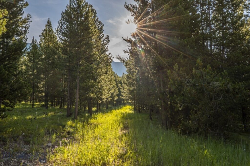 TBD Jack Creek Road, Moonlight Territory Parcel 2, Big Sky MT 59729