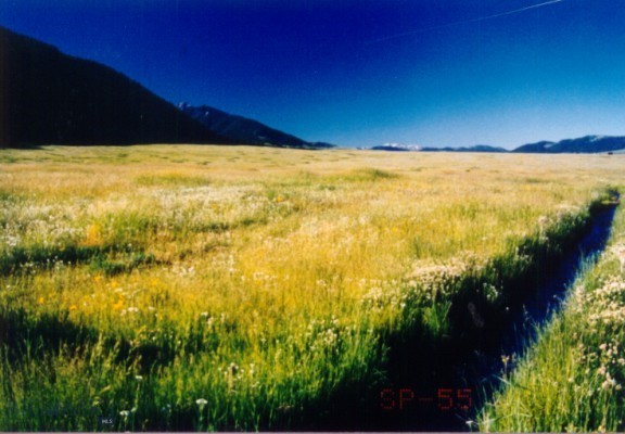 Parcel A55 Sportsman’s Paradise, Cameron MT 59720
