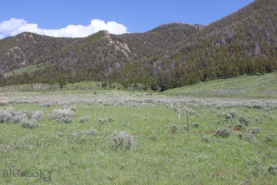 Parcel A55 Sportsman’s Paradise, Cameron MT 59720