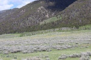 Unknown - 1