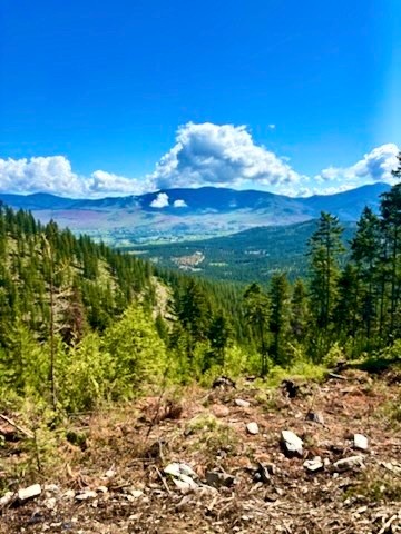 0 W Fork Combest Creek Road, Plains MT 59859
