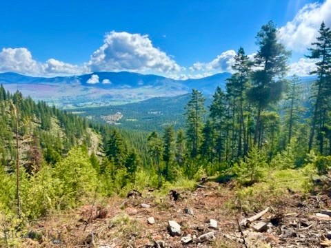 0 W Fork Combest Creek Road, Plains MT 59859