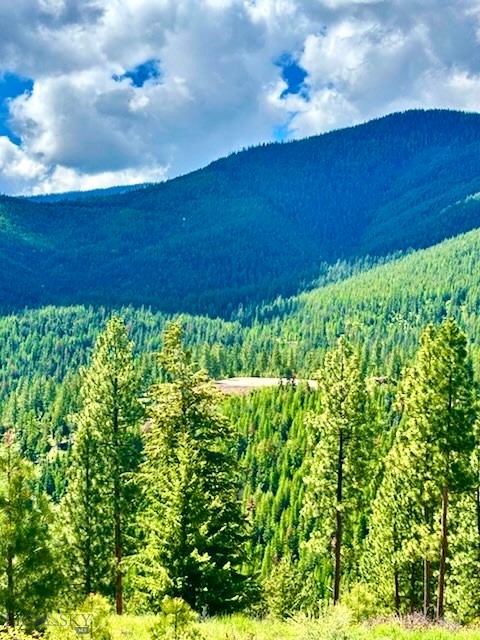 0 W Fork Combest Creek Road, Plains MT 59859