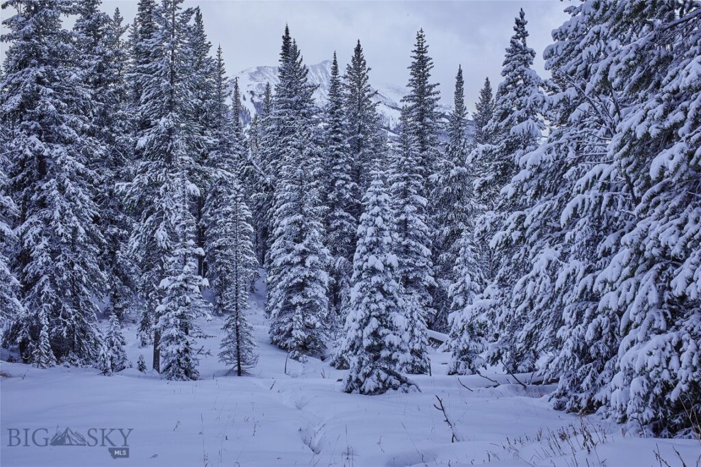 tbd Ulery’s Lakes Road – Lot 12A + 13A, Big Sky MT 59716