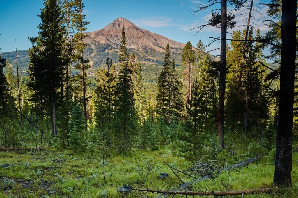 tbd Ulery’s Lakes Road – Lot 12A + 13A, Big Sky MT 59716