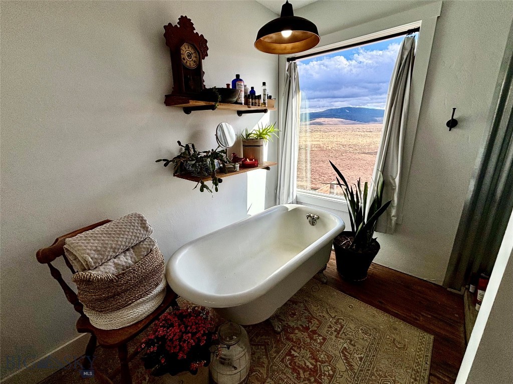 1624 Steel Creek Road, Wisdom MT 59761