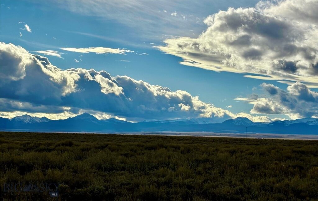 1624 Steel Creek Road, Wisdom MT 59761