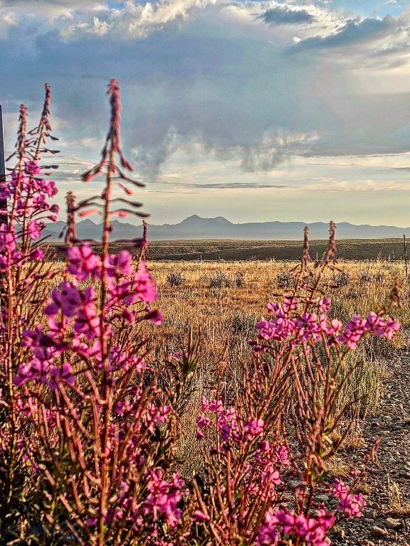 1624 Steel Creek Road, Wisdom MT 59761