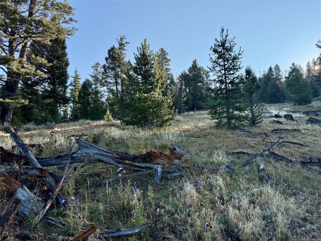 Lot 6 Ruby Mine Road, Butte MT 59701