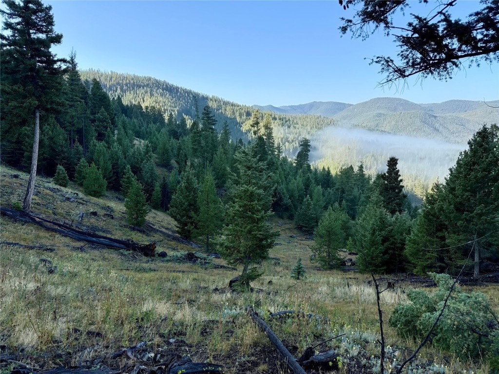 Lot 6 Ruby Mine Road, Butte MT 59701