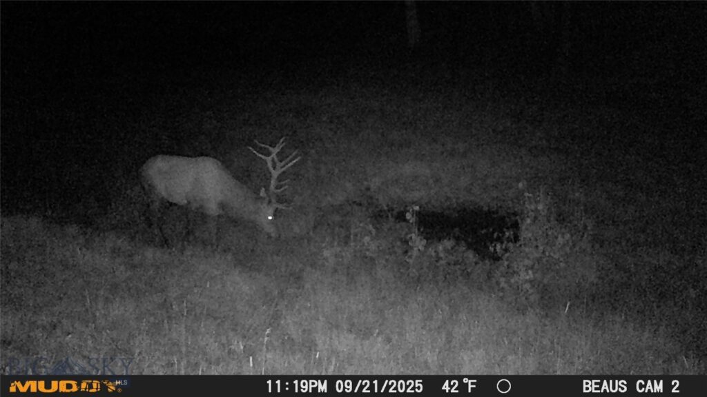 Lot 6 Ruby Mine Road, Butte MT 59701