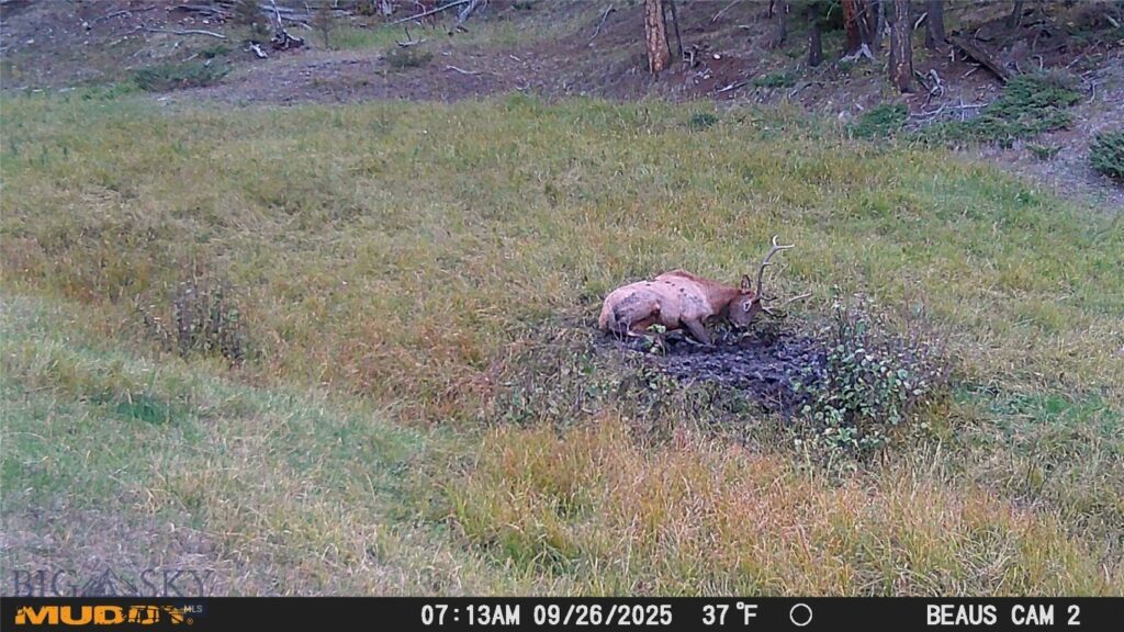 Lot 6 Ruby Mine Road, Butte MT 59701