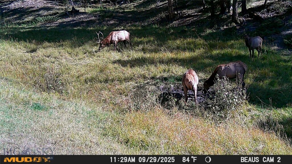 Lot 6 Ruby Mine Road, Butte MT 59701