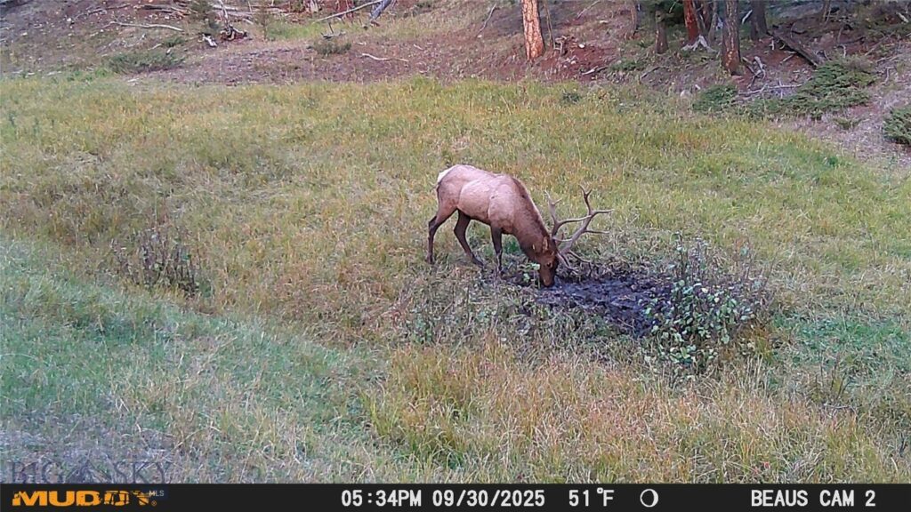 Lot 6 Ruby Mine Road, Butte MT 59701