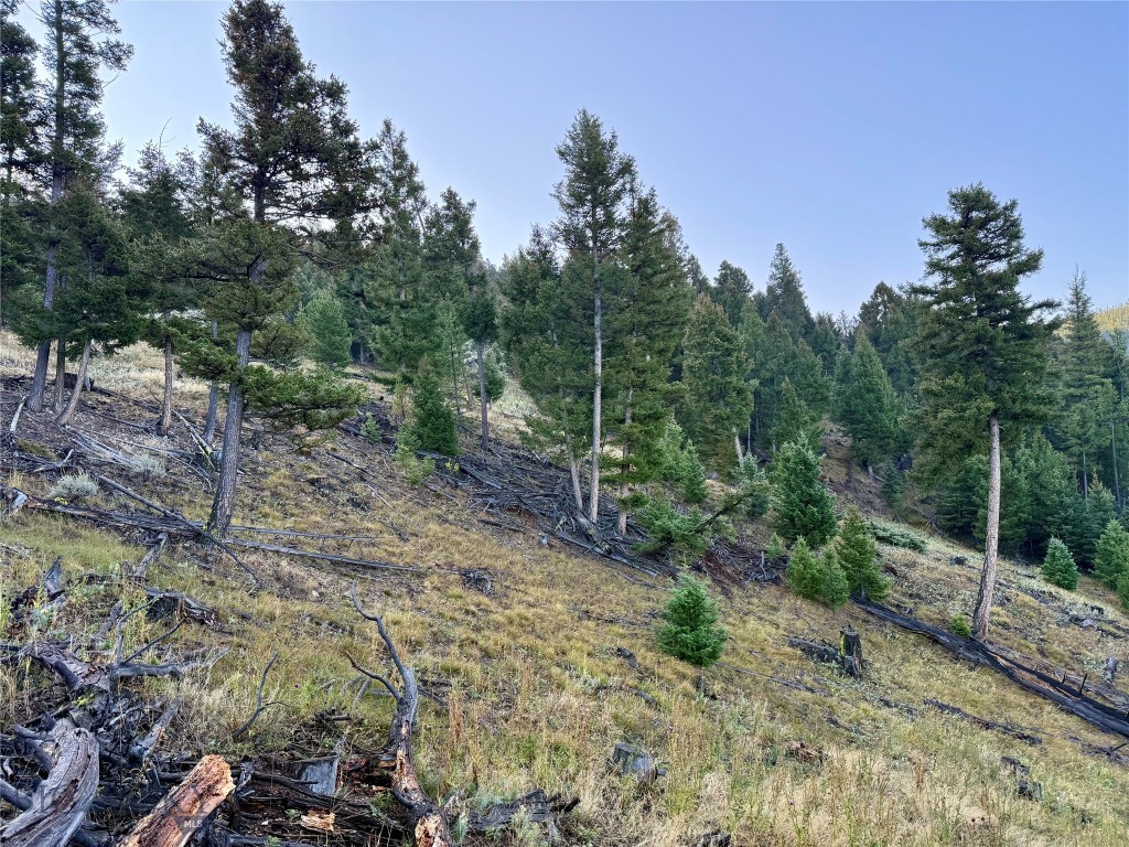 Lot 6 Ruby Mine Road, Butte MT 59701