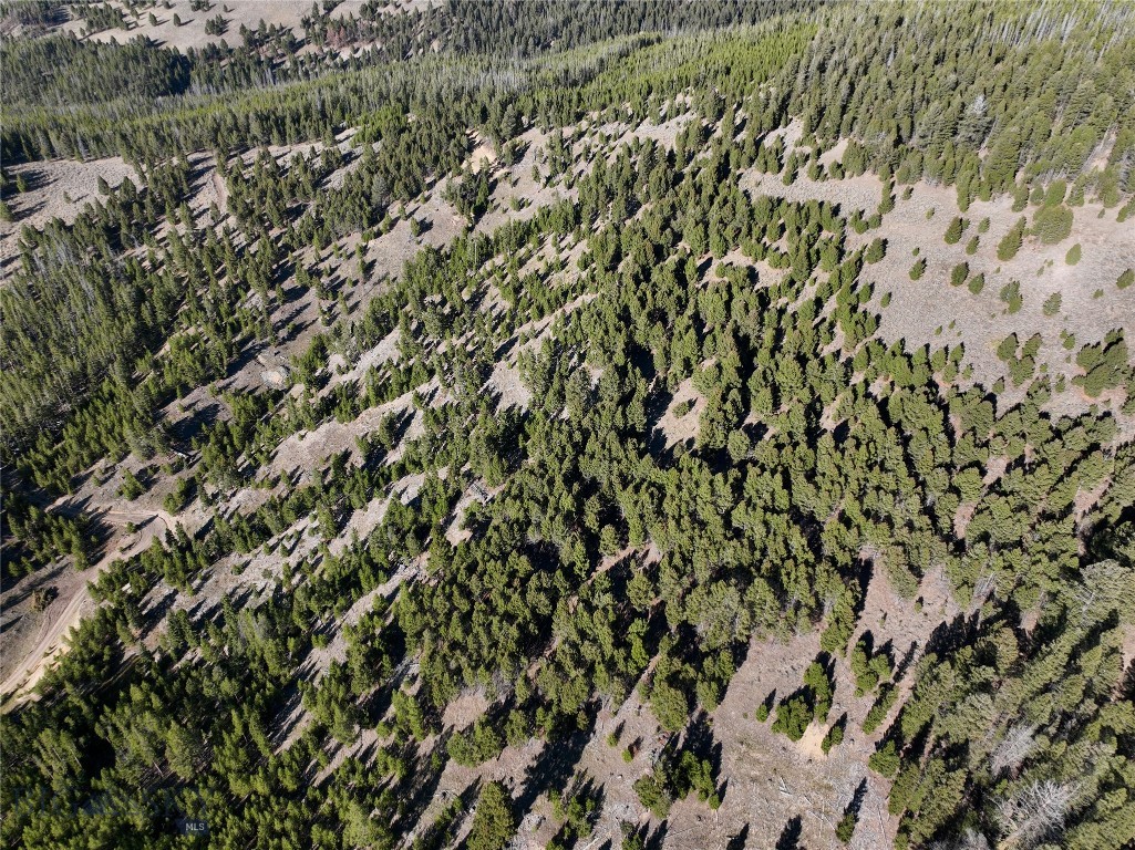 Lot 6 Ruby Mine Road, Butte MT 59701