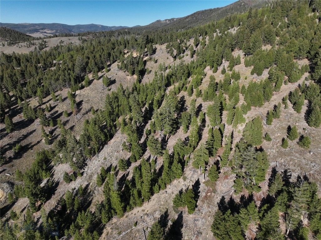 Lot 6 Ruby Mine Road, Butte MT 59701