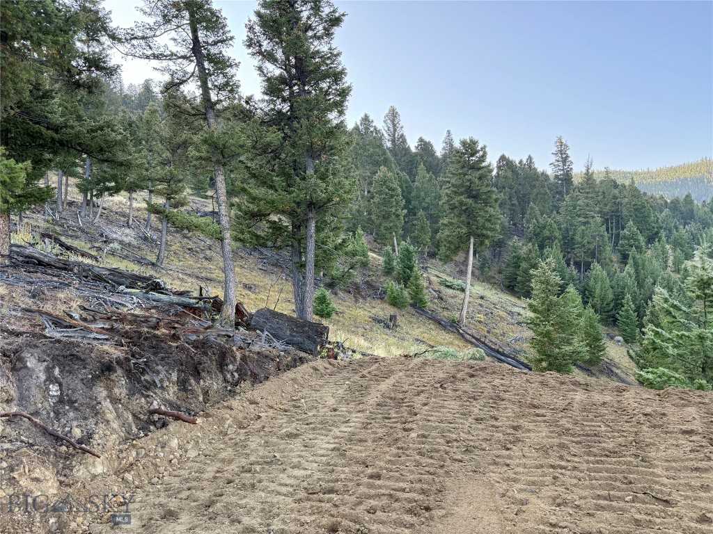 Lot 6 Ruby Mine Road, Butte MT 59701
