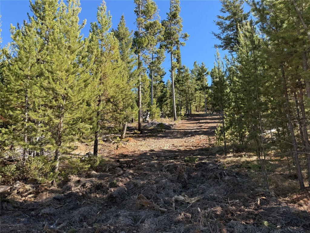 TBD Ruby Mine Road, Butte MT 59701