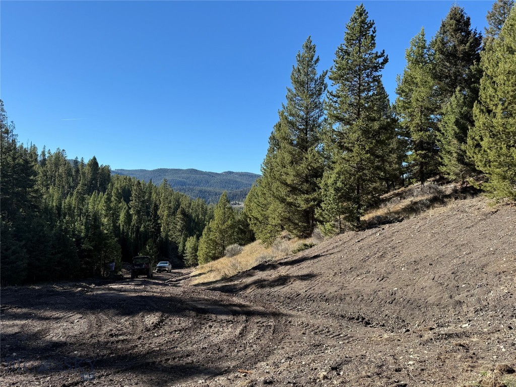 TBD Ruby Mine Road, Butte MT 59701