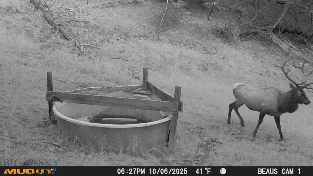 TBD Ruby Mine Road, Butte MT 59701