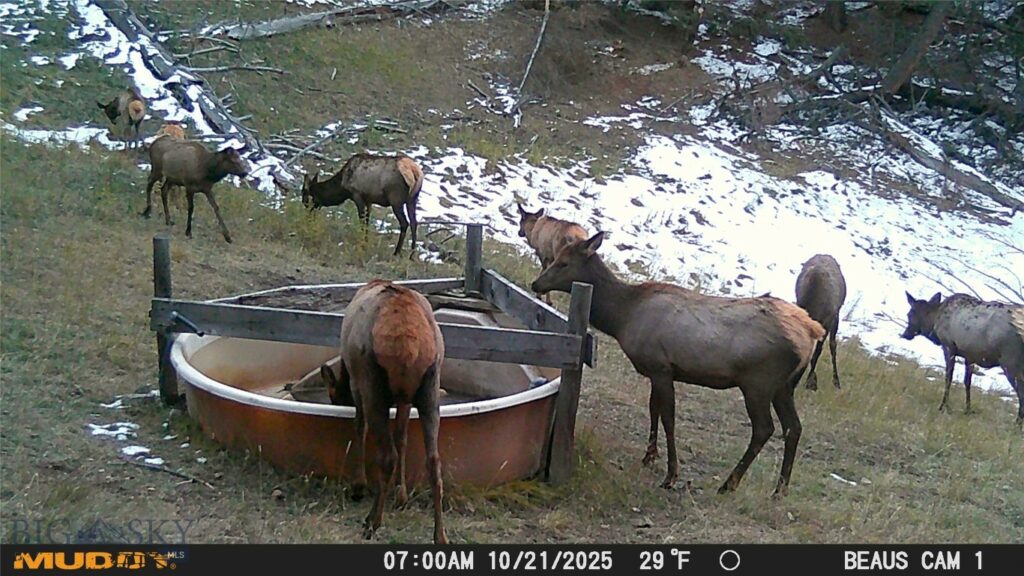 TBD Ruby Mine Road, Butte MT 59701