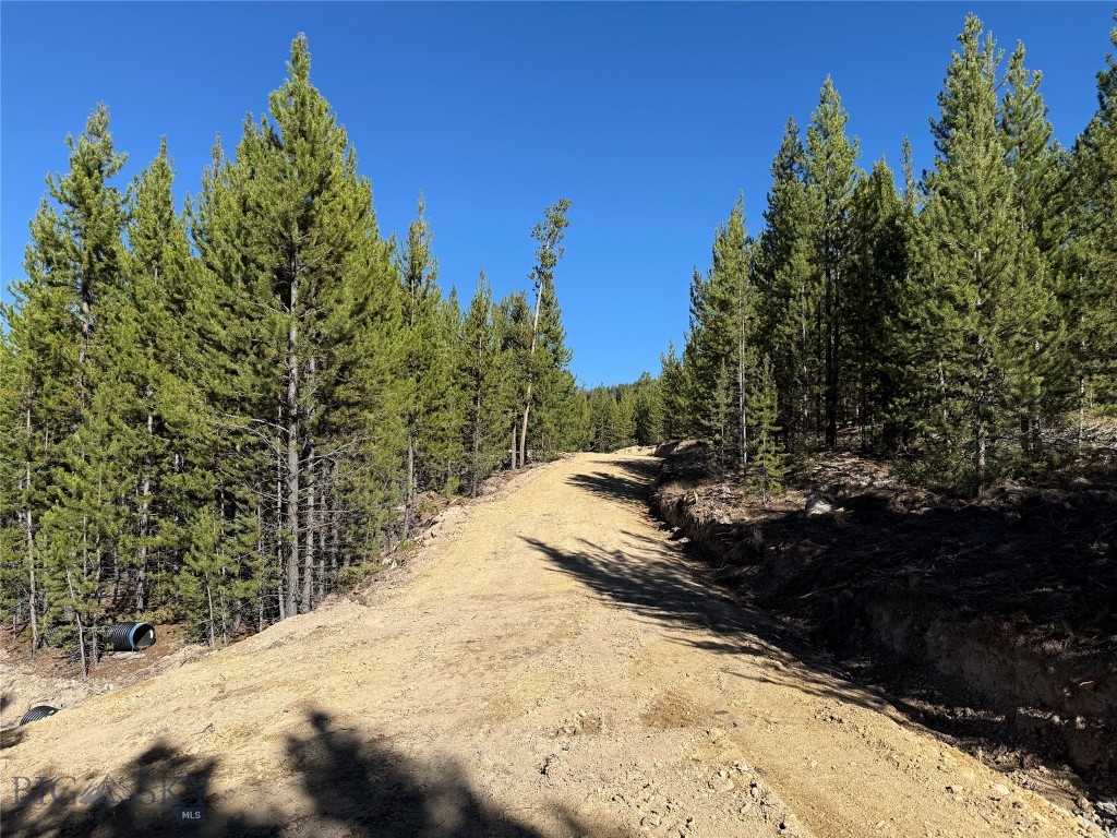 TBD Ruby Mine Road, Butte MT 59701