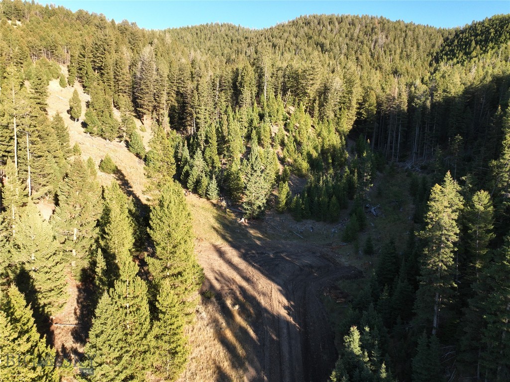 TBD Ruby Mine Road, Butte MT 59701