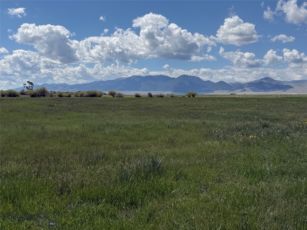 TBD Blacktail Rd, Dillon MT 59725